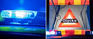 Kvinna död efter älgkrock på E20