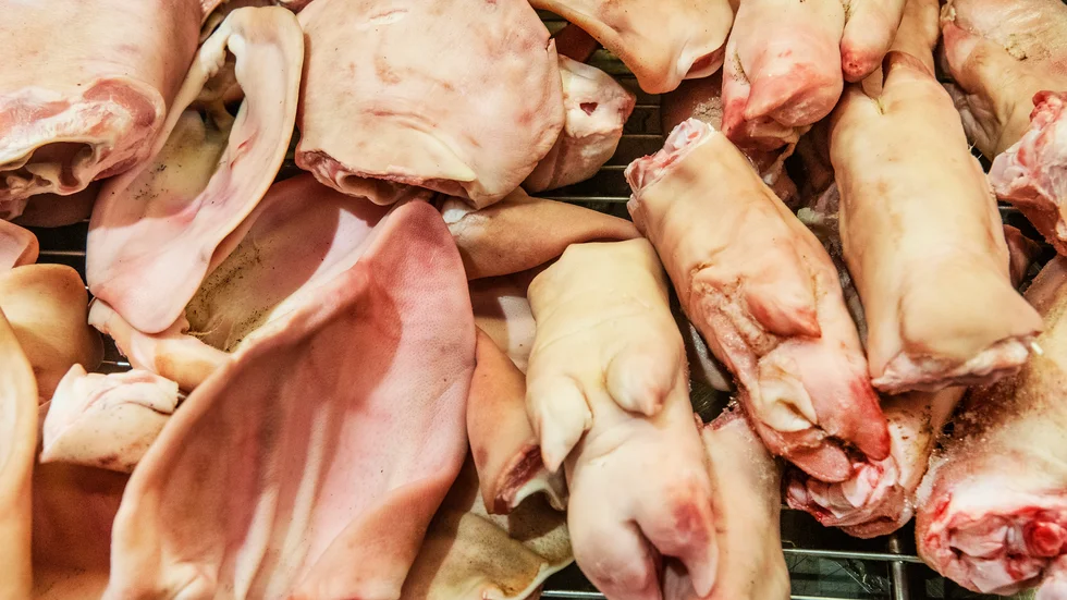 Ät inte svin, uppmanar insändarskribenten.
