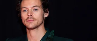 Hockneyporträtt av Harry Styles till museum