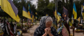 Ukraina hoppas på ökat stöd för fredsplan
