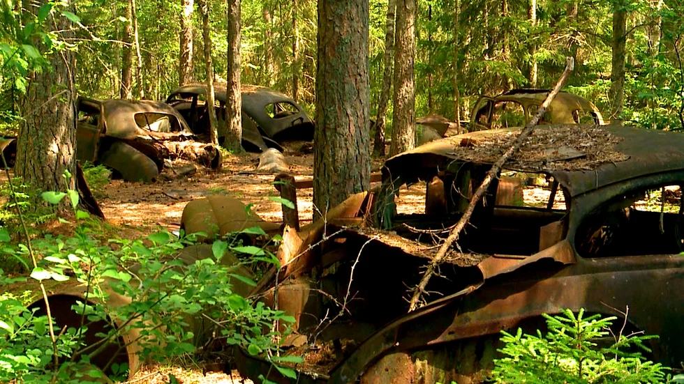 Åke Danielssons gamla skrotbilar på Kyrkö Mosse i Ryds kommun i Småland har blivit en plats att vallfärda till. Arkivbild.