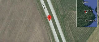 Rådjur på vägen på E4