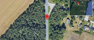 Viltolycka skapar trafikproblem