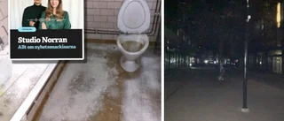 Mögel, bajs och avloppsvatten – Skellefteås olämpliga bostäder