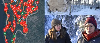 Avverkning trots rödlistade arter – Skogsstyrelsen får kritik