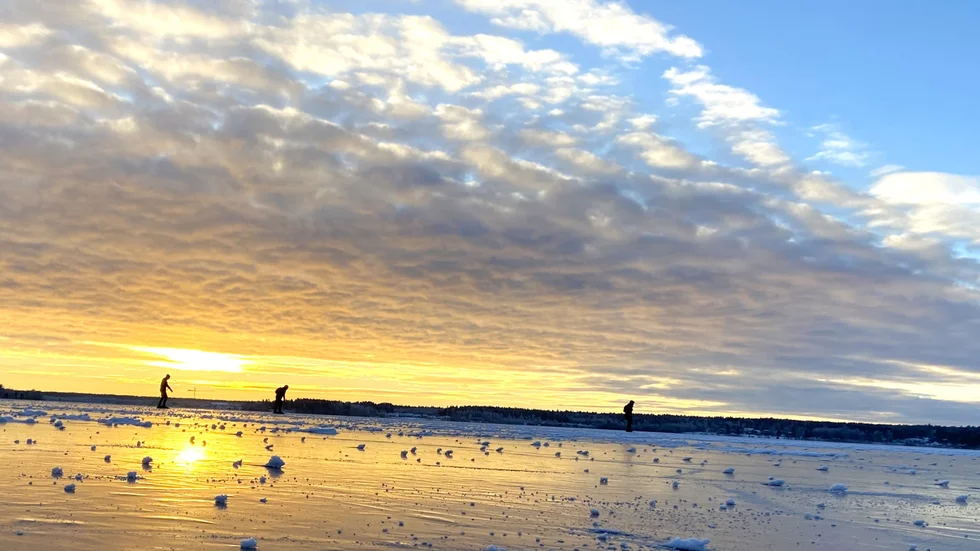 Isbanan runt stadshalvön i Luleå ser ut att få en riktigt tidig öppning. Isen är tjock och kommunen har börjat markera upp hela banan. 