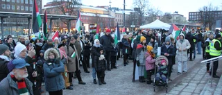 Hundratals demonstranter vid centralstationen