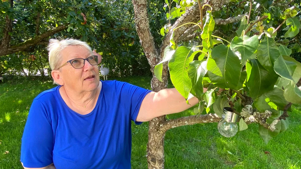 Ann-Britt Johansson i sin gamla trädgård på Norrmalm. Hon minns än idag dovhjortarna som åt både frukt och blommor.