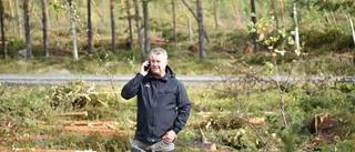 Kamp mot klockan att få ut stormskadad skog