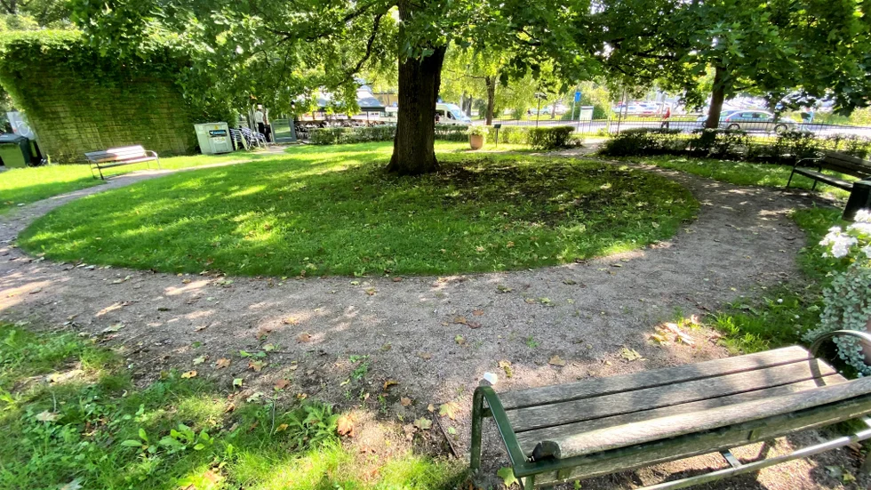 Veteranparken ligger intill den norra infarten till Akademiska sjukhuset. Möjligen kan parken i framtiden få ett konstverk, enligt ett beslut i kulturnämnden.