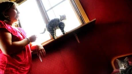 SATSNING MOT FÖRVILDNING. Anledningen till att fler katter har hamnat på katthemmet i år är att katthemmet själva gjort en satsning för att bland annat lokalisera förvildade katter. "Det är för lätt och billigt att skaffa katt i dag, många tänker sig inte för", säger Sofia Skans som arbetar på katthemmet.