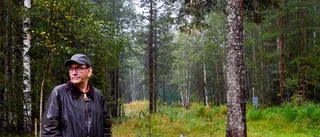 Svampangrepp och älg största skogshoten