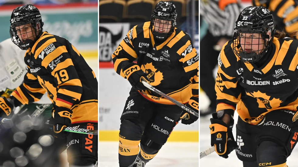 Den tilltänkta spetskedjan med Kinga Jokai Szilagyi, Ally Johnson och Sara Krauseneck hade en tung kväll när Skellefteå AIK föll hemma mot Björklöven.