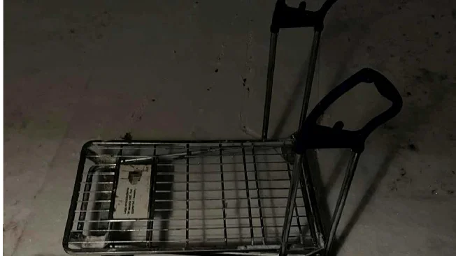Den 5 februari i år ska ungdomar bland annat kört in en kundvagn på familjens tomt. (Bilden är hämtad ur förundersökningen.) 