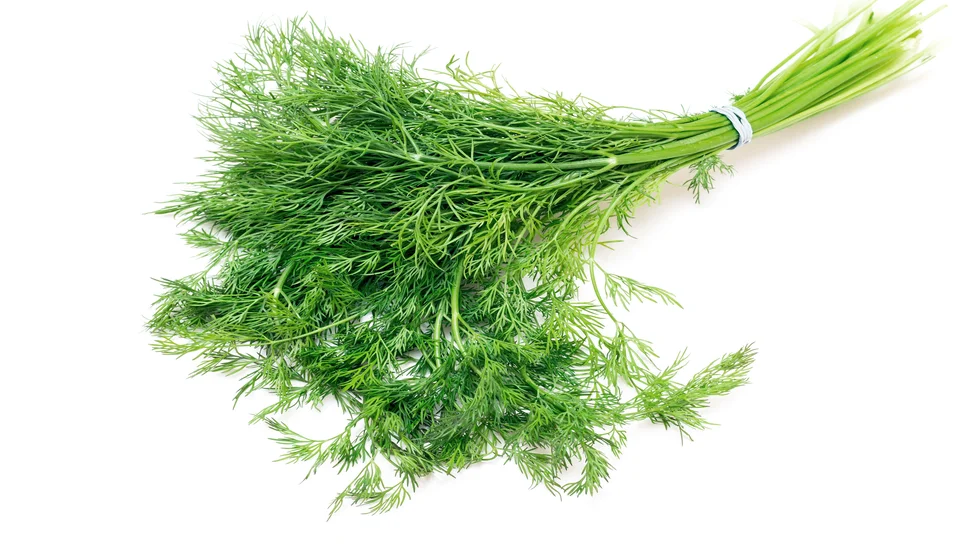 Coop återkallar färsk dill från varumärket Änglamark. Arkivbild