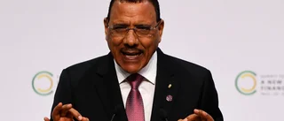 Ecowas kritiserar åtalet mot Nigers expresident