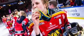 Klart: Sjufaldiga mästaren tillbaka i Luleå Hockey