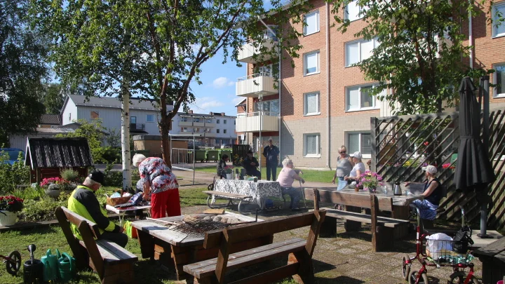 Gårdsträff i Överkalix samtidigt som värmen drog in.