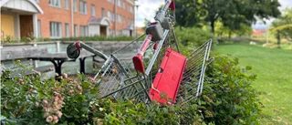 Inför pantsystem på kundvagnar