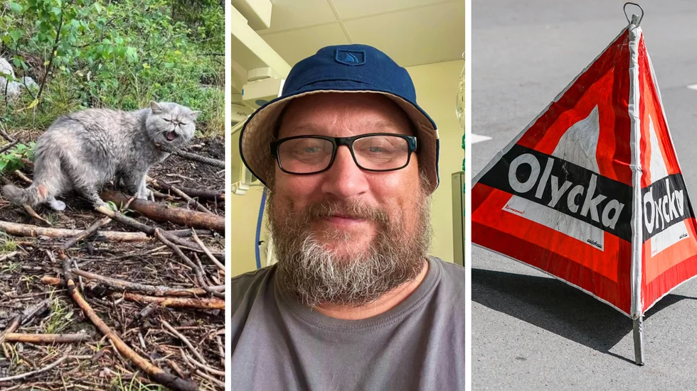 Katten Kajsa försvann efter olyckan, berättar Daniel Lundström.
