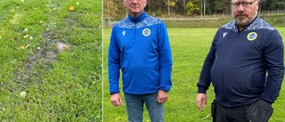 Marken sjuk – efter kommunens miljonsatsning