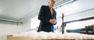Landsberga gård blir Mälardalens största producent av ägg från utehönor. "En glädjens dag"