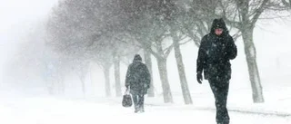En dag full av snöfall