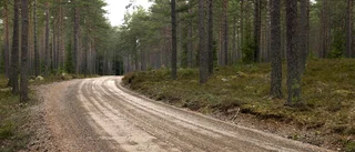 Doften av nylutad grusväg, av tjära, av regnvåt asfalt och nytvättade lakan
