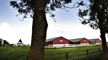 UTEBLIVNA BETALNINGAR. En konkursansökan för Stafva Gård  har lämnats in till Gotlands tingsrätt.       foto: petra jonsson/arkiv