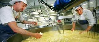 Framtidstron tillbaka på Stafva gård