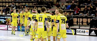Så många såg Visby IBK slå Djurgården