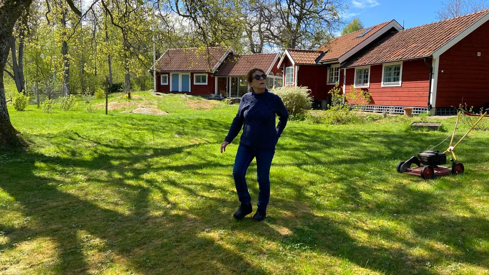"Det värsta är ändå lukten", säger Kerstin Dalgren som bor vid Ektorp Uddbyvägen ligger några hundra meter från skarvarnas koloni. 
