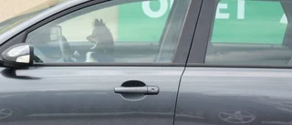 Polisen fick rycka ut till hund i bil