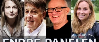 Endrepanelen: I år blir det semifinal