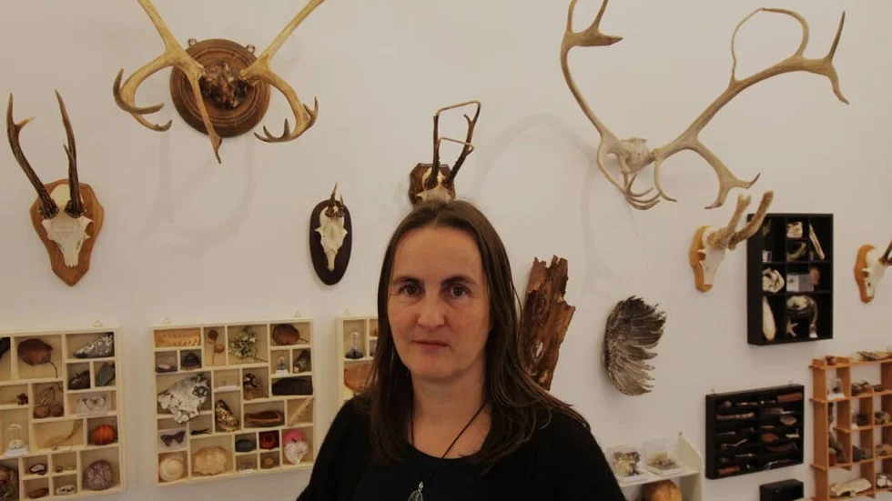 Konstnären Hannah Streefkerk ställer ut under november på Galleri Gotland.