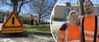 Vårtrimning för träden vid kulturskolan – för säkrare trafik: "Höjer och tar bort grenar"