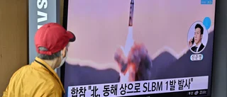 Nordkorea avlossar robot från ubåt
