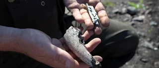 Industri från vikingatiden hittad i Visby