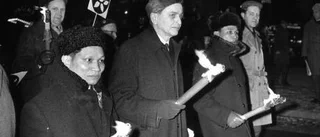 Palmes protest mot kriget i Vietnam