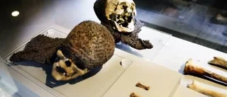 Ödesåret 1361 skärskådas brutalt nära