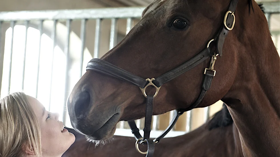 Lina Dolk och Hatti klarade av problemen som ställdes mot dem i Göteborg Horse Show.