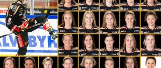 Här är hela Luleå Hockeys guldlag