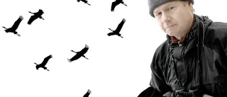 Skadad trana lämnad att dö: "Haft en besvärlig natt"