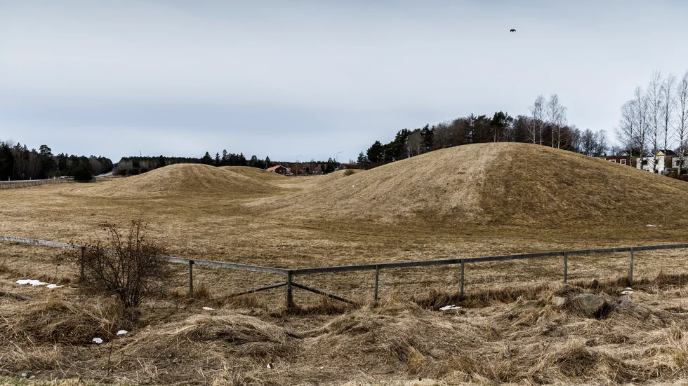 Naturmark och andra grönområden är värdefulla resurser där människor hämtar kraft, skriver representanter för 14 föreningar.
