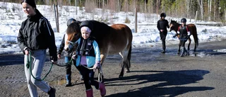 Skellefteåtravets travskola höll dagläger på påsklovet: ”Barnen har så kul då de hjälps åt i stallet”