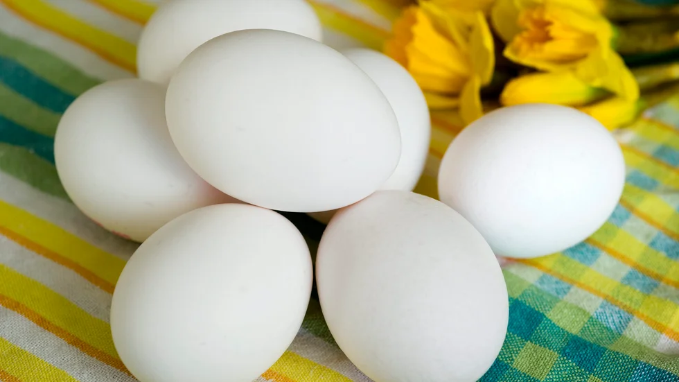 Ägg är påskmat – men välj helst kravmärkta. Arkivbild.