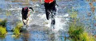 Voff! De segrade i K9 Biathlon