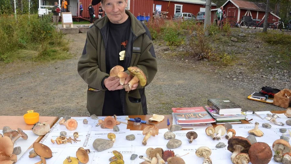 Svasmpexperten. Gunvor Forsell är utbildad svampkonsulent och hjälper gärna andra. "Det fins svampar som nyvbörjare ska kunna känna igen och lite svårare."
