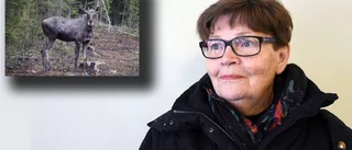 Efterlyser hjälpen på vägen