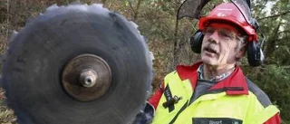 Röjsågen är en vinstmaskin -men man får vänta många år på utdelningen